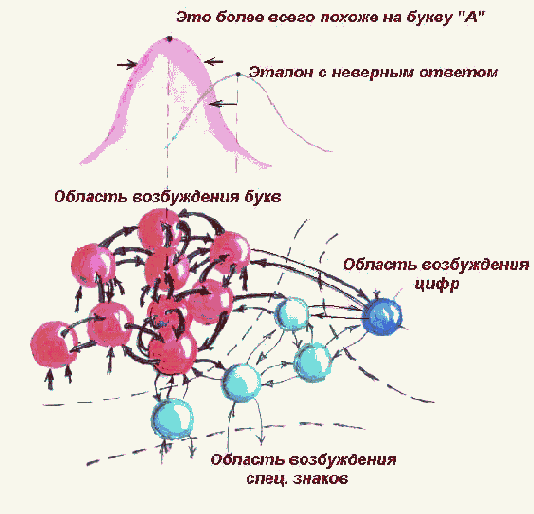 ������������, ������������������ � ����������� ������������� �����������