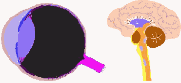 Вспомогательные системы нижнего