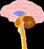 ��������������� ������� �������