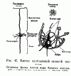 � 1. ���������� ������� ������