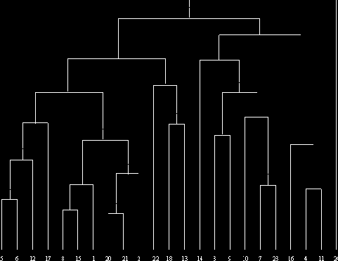 ������������� �������������