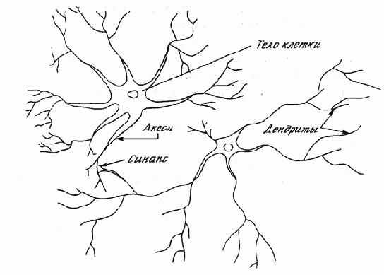 ������������� ��������