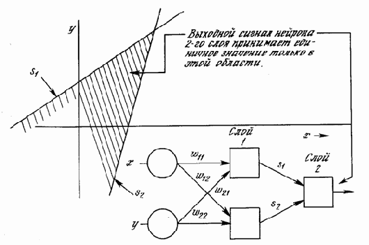 ����������� ����������� �������� ������������