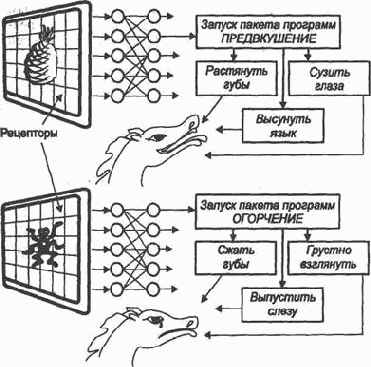 Модель мозга
