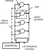 Нейрочипы и нейрокомпьютеры