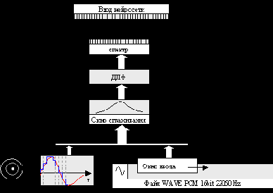 ���� ��������� �������