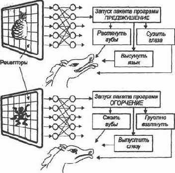 �������� ������� �������� ����, ������ 