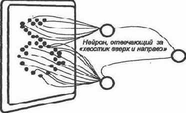 ������ ��������