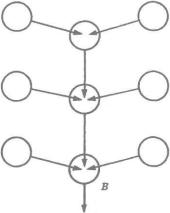 �� ���� - ������ ������