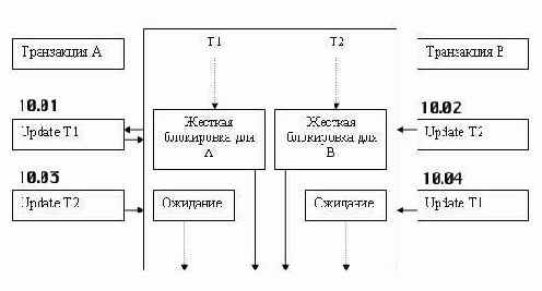 �� ���� ��������� ���������� 