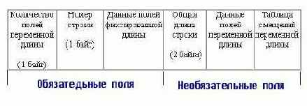 ��� ��� ���� ����� ������ 