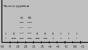 ����� ������ ������