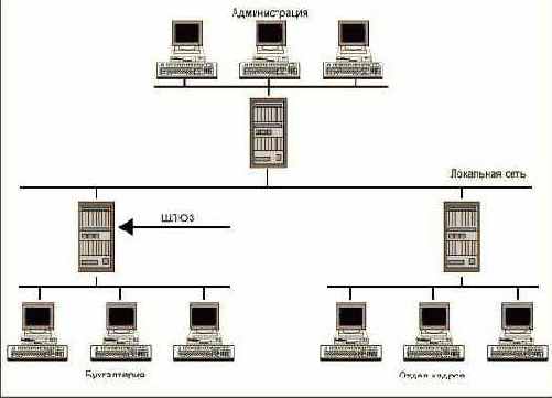 ������������ ����