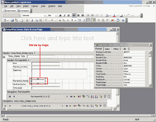 ������ �������� ���������� ��������� ����� ������
