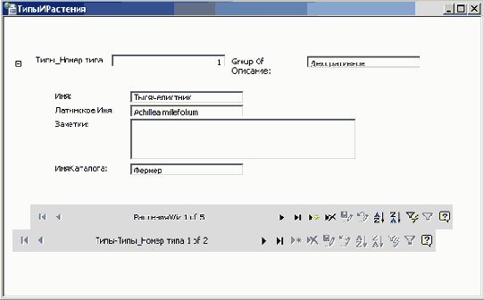 ����������� ���������������� ����� � ���� ��������