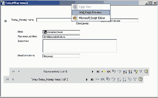����� ������� ���������������� ��������� Web-��������