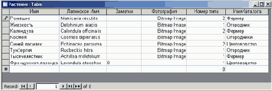 ���������, ������������� � ������������, �������� �� ���������� ������� ���� ������