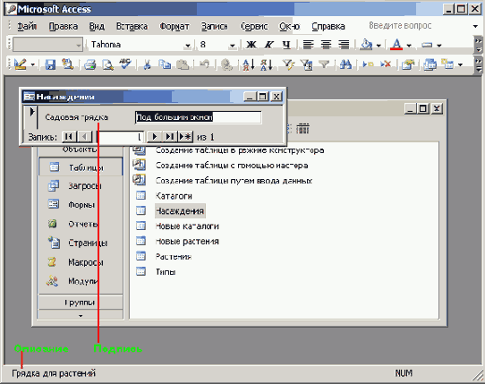 ����� �������� ���� � �������� � ���������