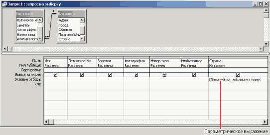 ���� ���������������� ��������� � ������ ������� ������ ���� ������
