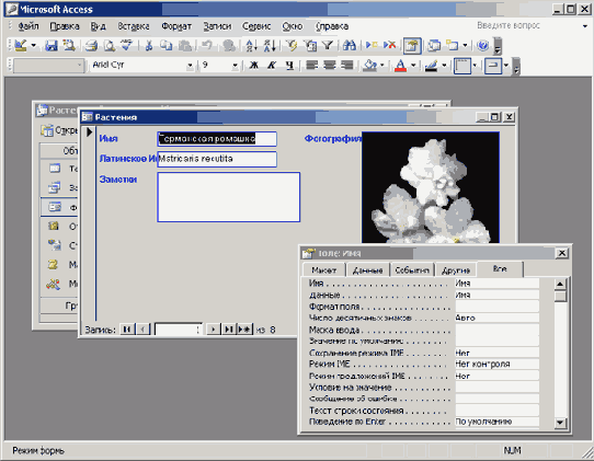 �������� ���� ��������