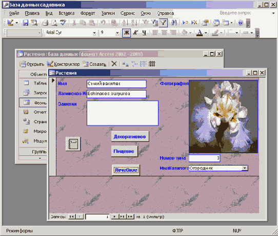 ���������� ����������� ����� � ������� �������