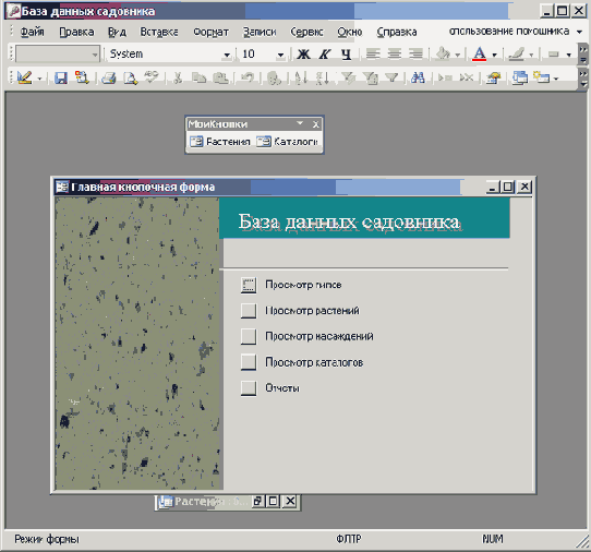 ���������� ���������������� ������ ������������ � ���� ������ ��������