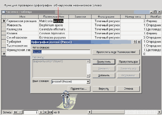 ����� ����� � �������������� ��������� ���������