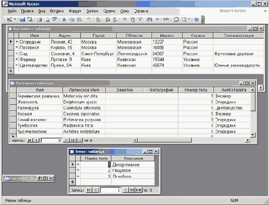 ���� &laquo;����&raquo; � ������� ��������� �� ������� ����� � ������ ��������