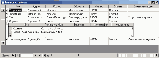 �������� �� ����� &laquo;����&raquo; ����� ������ ��� ��������� ��������� � ��� ������� ������ �������