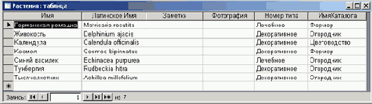 ������ � ������� ���������� �������� � ���� ���������