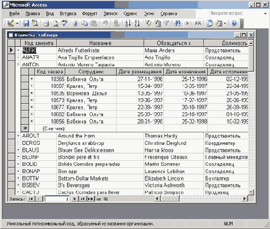 Access позволяет просмотреть данные в их «первозданном» виде
