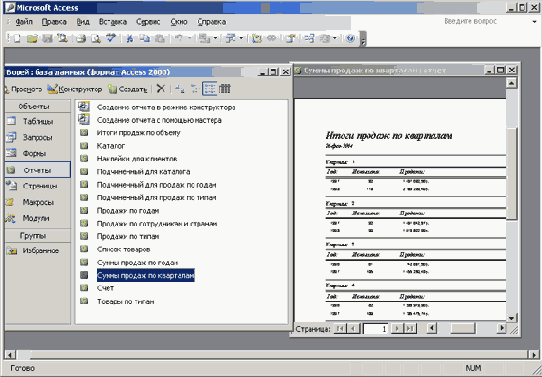 Отчет, открытый из окна Борей: база данных