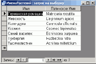 Новый запрос, открытый в режиме таблицы
