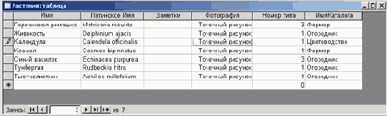 � ������ ������� ����������� ����� ������������ � ���� ��������� �������