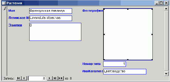 ����������� ������ �������� ��� �� ���������