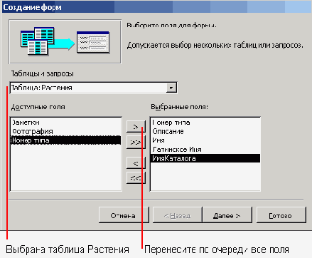 ����� ���� ����� �� ������� ��������