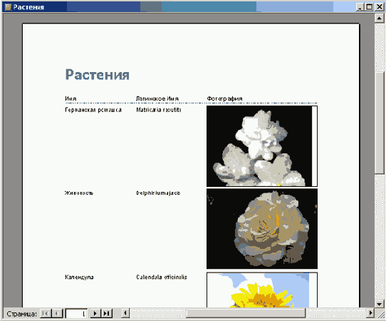 ����� �����, ��������� � ������� �������