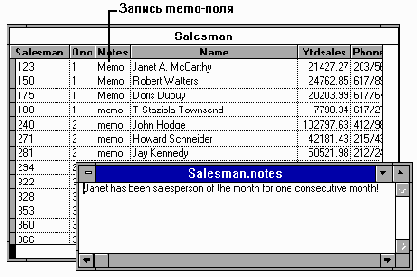 Просмотр данных Memo полей