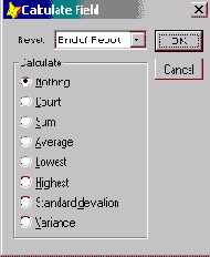 Размещение итогового поля