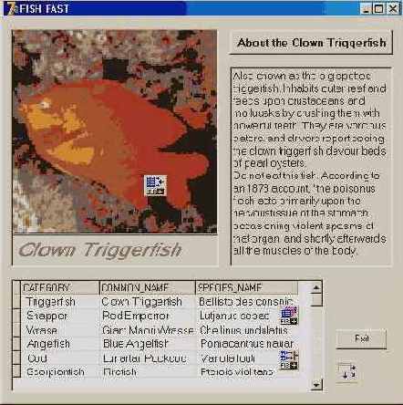 ������ � BLOB-������