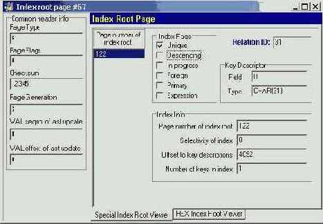 ���� ������� � �� �������������