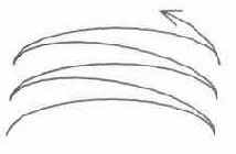 �������������� 5