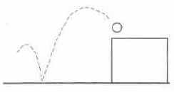 �����/������ 6