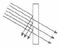 �������/������