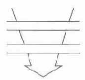 �������/������ 2