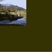 ���������������