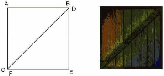 ���������������