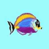 ����������������