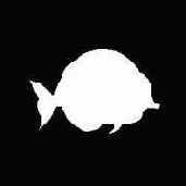 ����������������