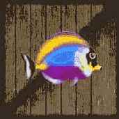 ����������������